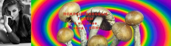 амф Бугульма